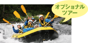 オプショナル ツアー